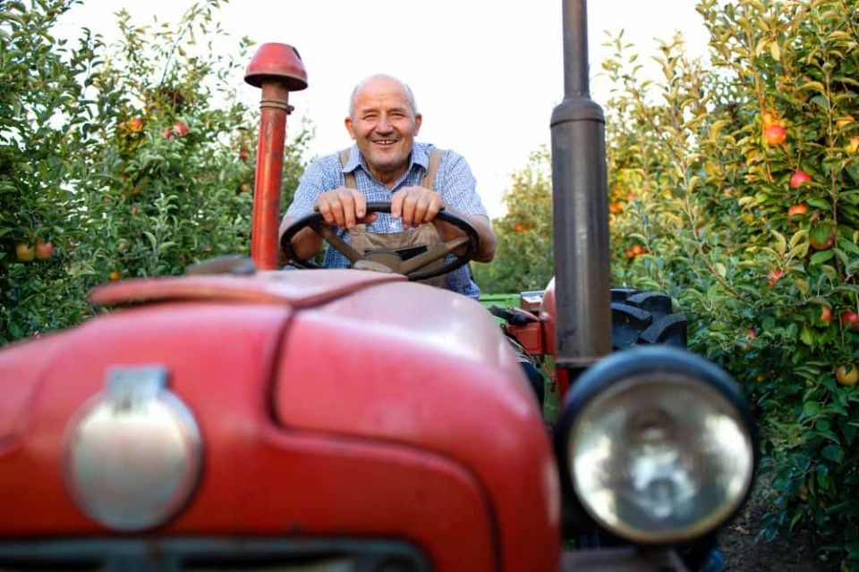 Un agriculteur souriant au volant d'un tracteur rouge traditionnel, circulant entre les rangées d'un verger de pommiers, illustrant l'alternative classique au tracteur enjambeur.